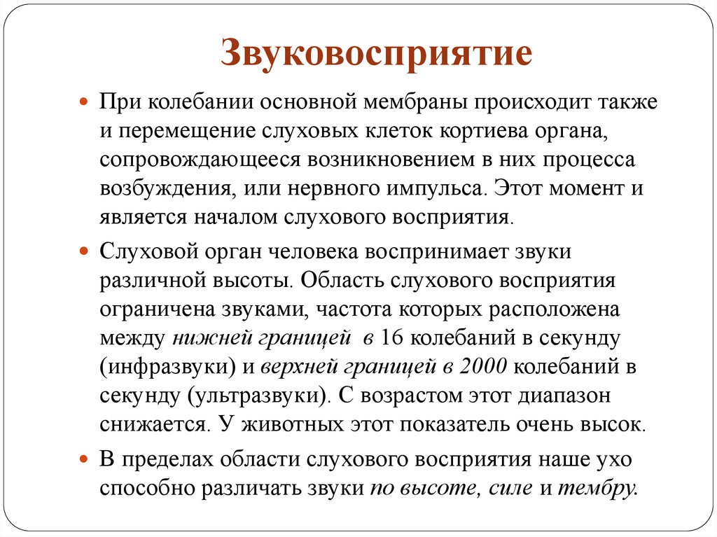 Анатомия физиология и патология органов слуха презентация