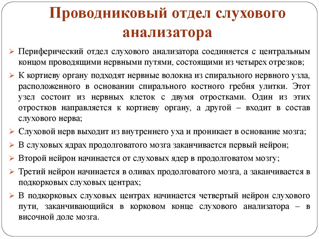 Проводниковой отдел анализатора. Строение проводникового отдела слухового анализатора. Проводниковый отдел звукового анализатора. Что относится к проводниковому отделу слухового анализатора. Функции проводникового отдела слухового анализатора.