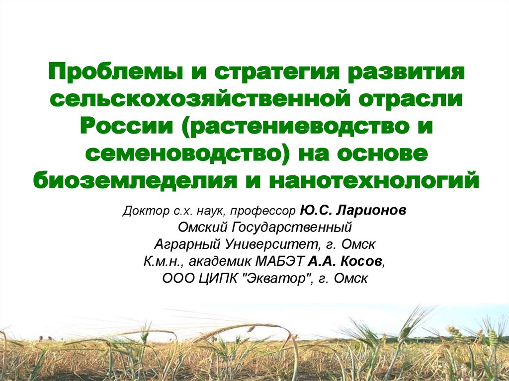 Стратегии развития сельского хозяйства. Перспективы развития отрасли растениеводства. Проблемы развития растениеводства.