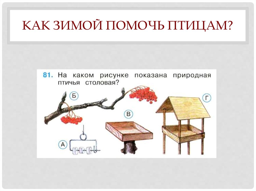 Технологическая карта 1 класс где зимуют птицы 1 класс