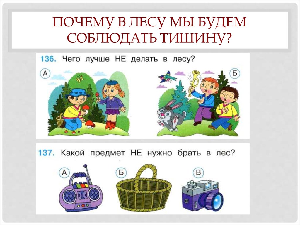 1 класс зачем. Почему в лесу мы будем соблюдать тишину. Почему в лесу мы будем соблюдать тишину 1 класс. Почему в лежу нужно соблюдать тишину. Почему в лесу нужно соблюдать тишину.