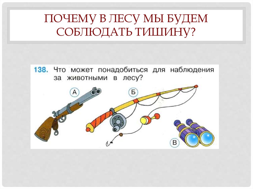 Почему нужно соблюдать тишину в лесу 1 класс презентация