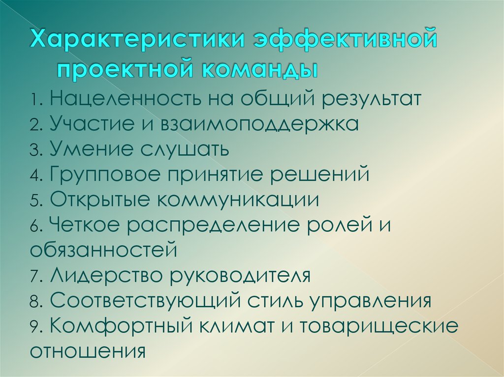 Основные характеристики команды проекта