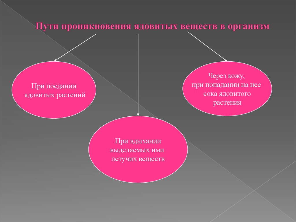 Вещества отравляющие организм