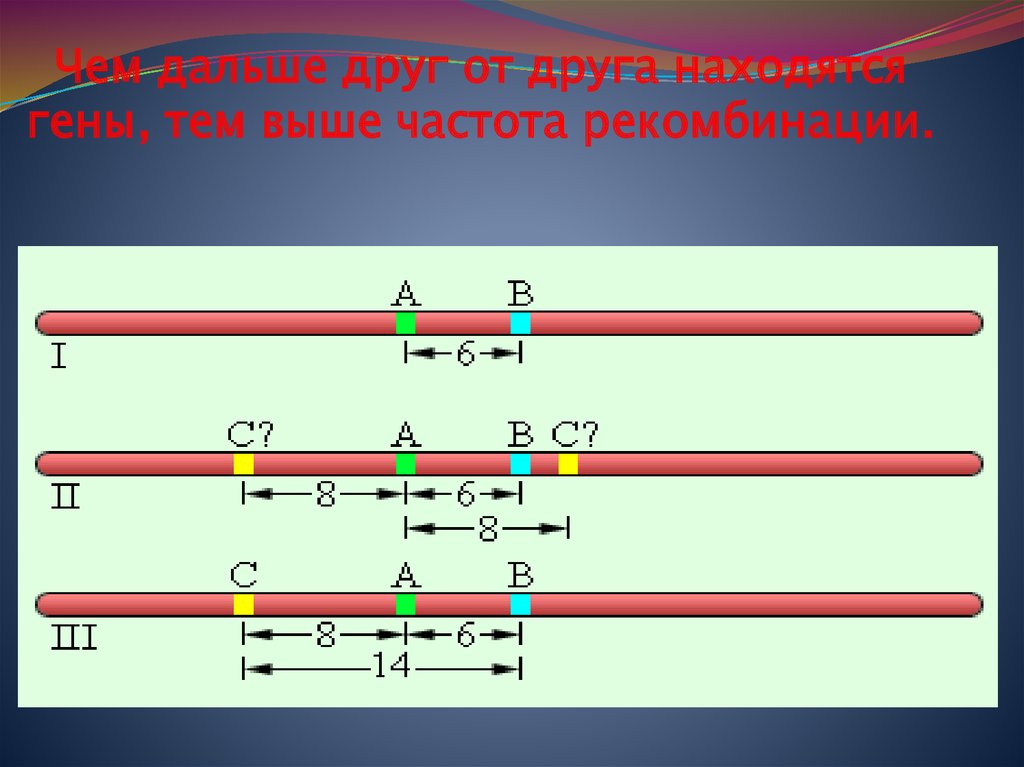 Расположены друг от друга на. Частота рекомбинации генов. Частота рекомбинации генов формула. Высокая частота рекомбинации это. Частота рекомбинации между генами.