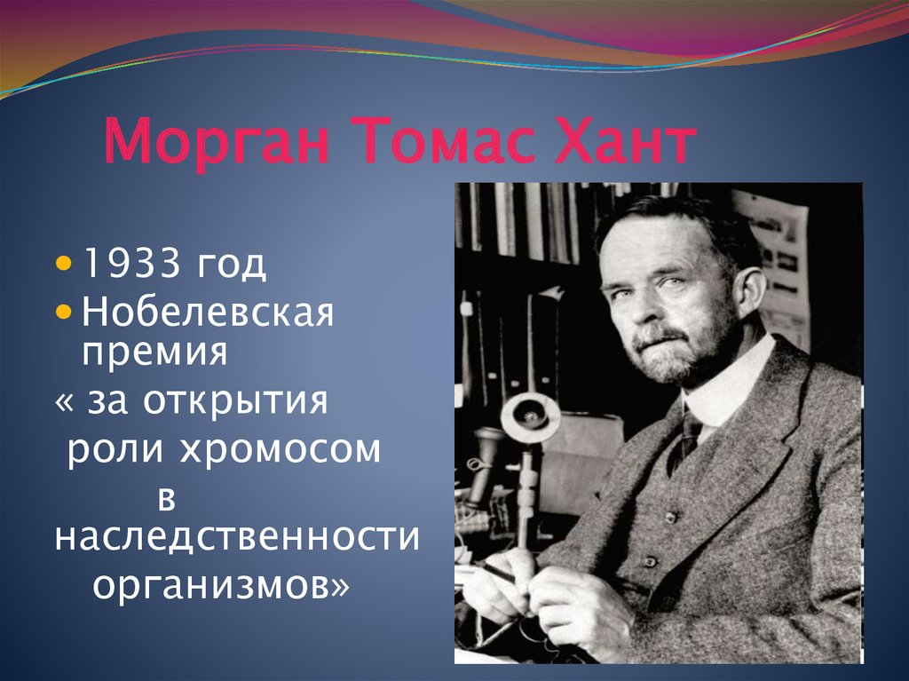 Открытие хромосомной теории. Роль хромосом в наследственности.