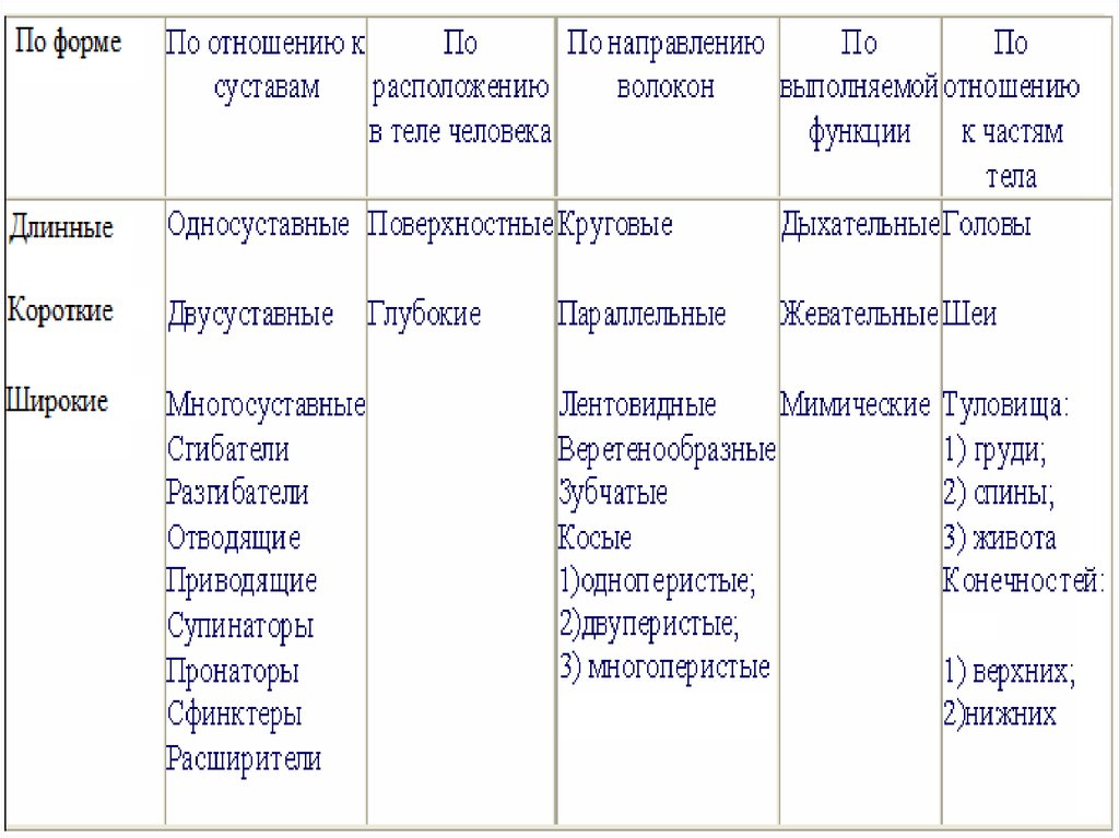 Миология в схемах и таблицах