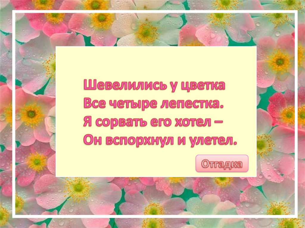 Рисование в старшей группе «Бабочки летают над лугом»