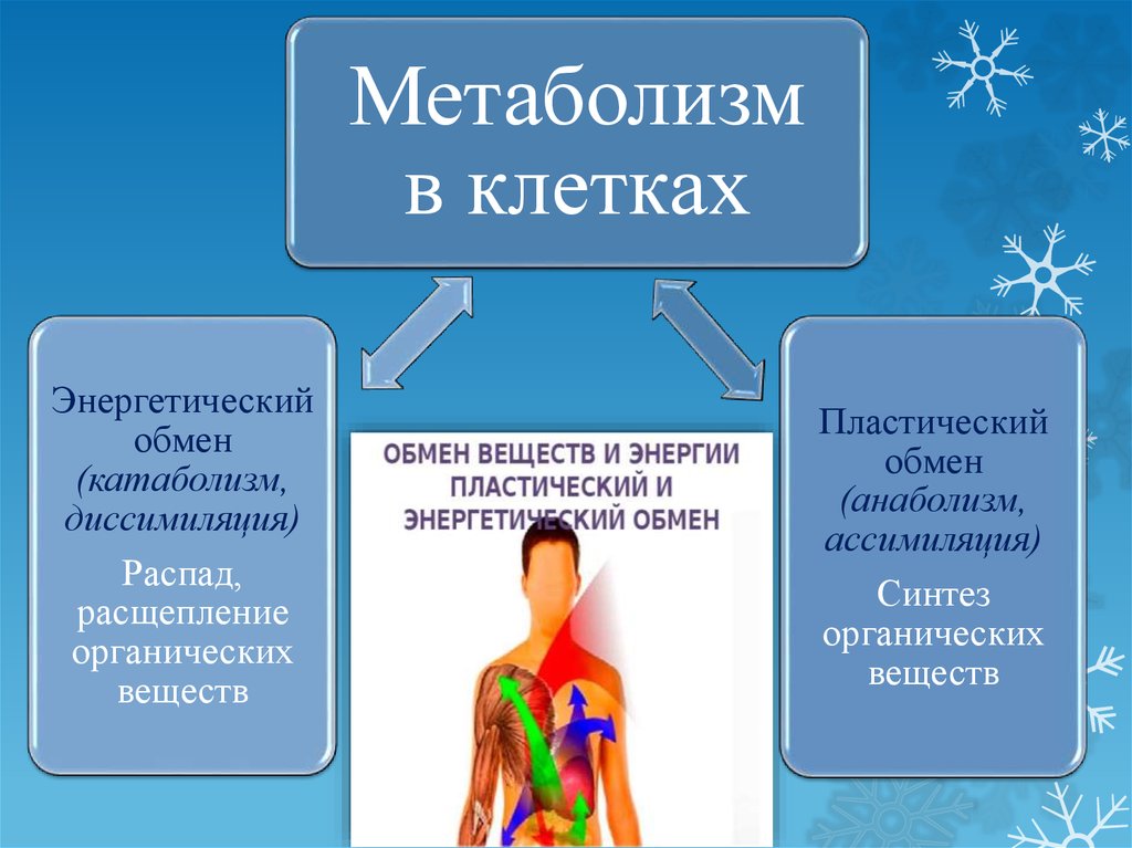 Презентация обмен опытом