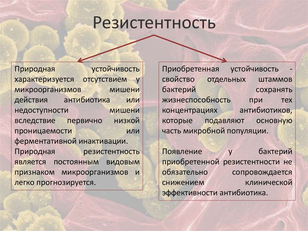 Приобретенная устойчивость это