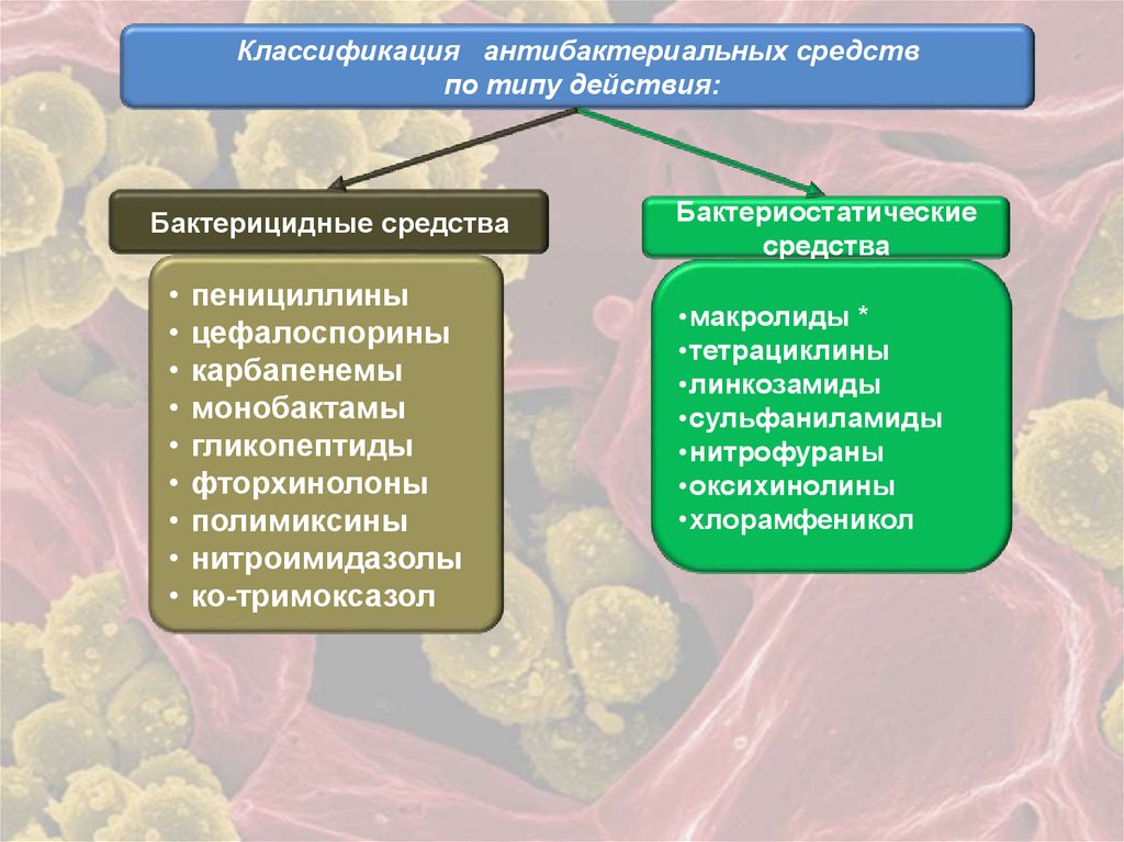 Сперматозоиды | Мой уролог