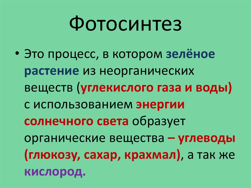 Биология определение кратко и понятно. Что образуется при фотосинтезе. Значение фотосинтеза. Уравнение фотосинтеза биология.