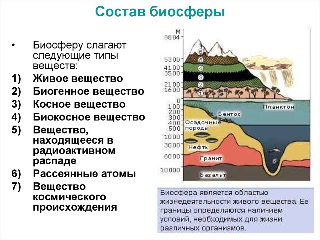 Какие вещества биосферы. Биосфера состав и строение. Структура биосферы таблица. Составные части биосферы. Структура и функции биосферы.