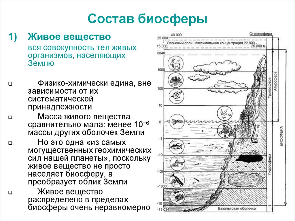 Какие из утверждений относятся к живому веществу. Структура биосферы вещество. Состав компонентов биосферы. Структура биосферы таблица. Биосфера состав и строение.