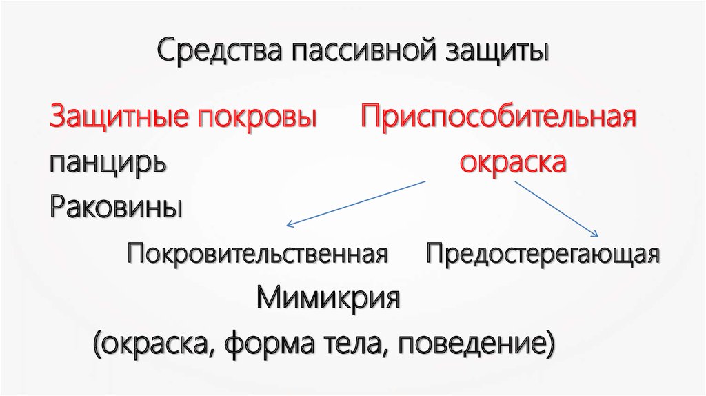 Средства пассивной защиты