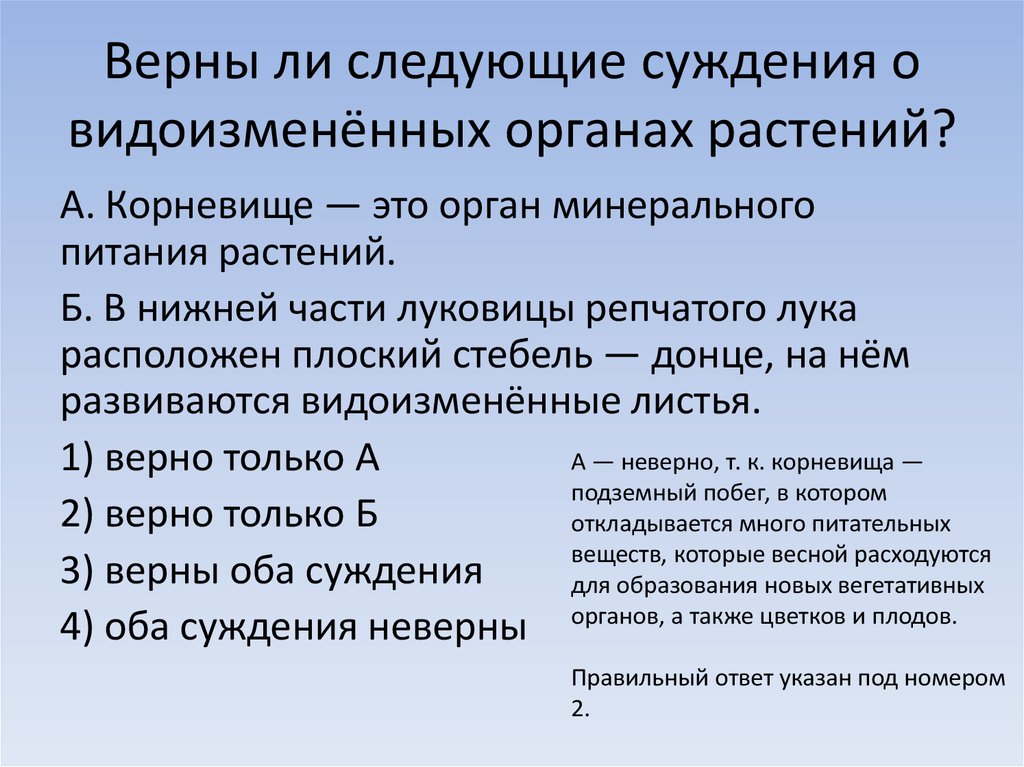 Верны ли следующие суждения о двудольных растениях. Верны ли следующие суждения о видоизменённых органах растений. Суждения о видоизменённых органах растений. Верны ли следующие суждения о видоизменённых побегах. Верны ли следующие суждения надзор о правоохранительных органах.