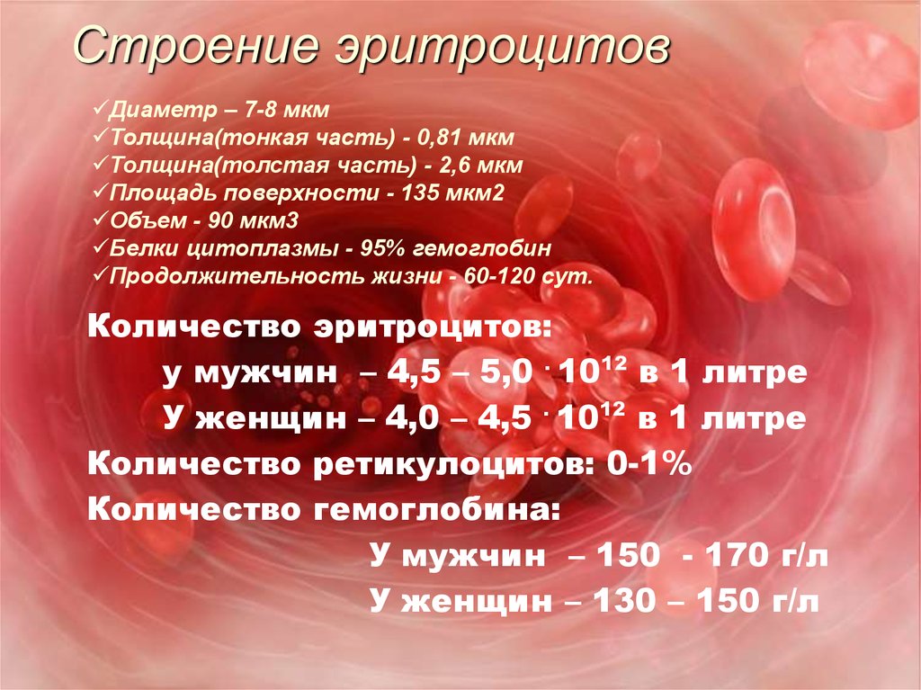 Эритроциты 5 50