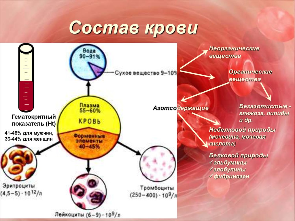 Функция плазмы крови человека. Из чего состоит кровь человека схема. Состав крови. Состав крови человека. Состав крови схема.