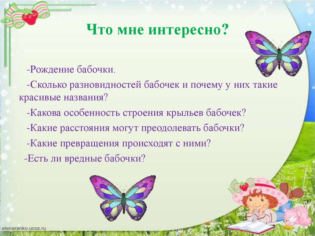 Бабочек какое число. Почему бабочки такие красивые. Почему бабочки разные и красивые. Такие разные бабочки. Почему бабочки такие красивые презентация\.