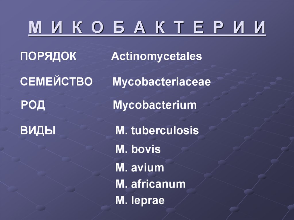 М И К О Б А К Т Е Р И И