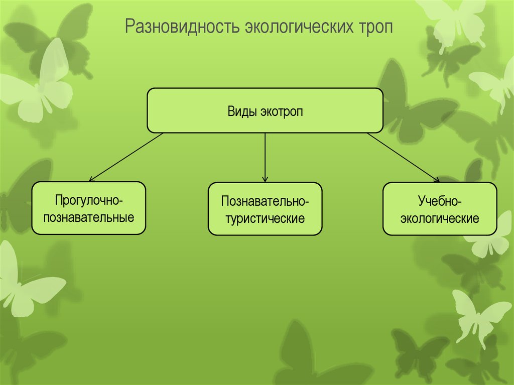 Какие виды экологической