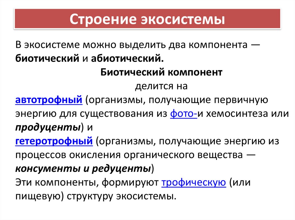 Из каких основных компонентов состоят экосистемы схема