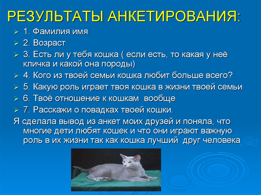 Кошки в жизни человека. Проект на тему кошка в жизни человека. Роль кошки в жизни человека. Роль кошки в природе. Актуальность кошек в жизни человека.