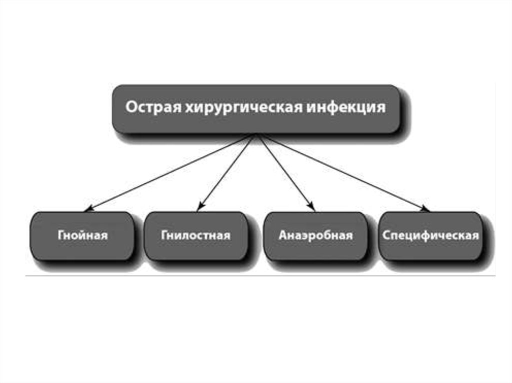 Презентация общие вопросы хирургической инфекции - 88 фото