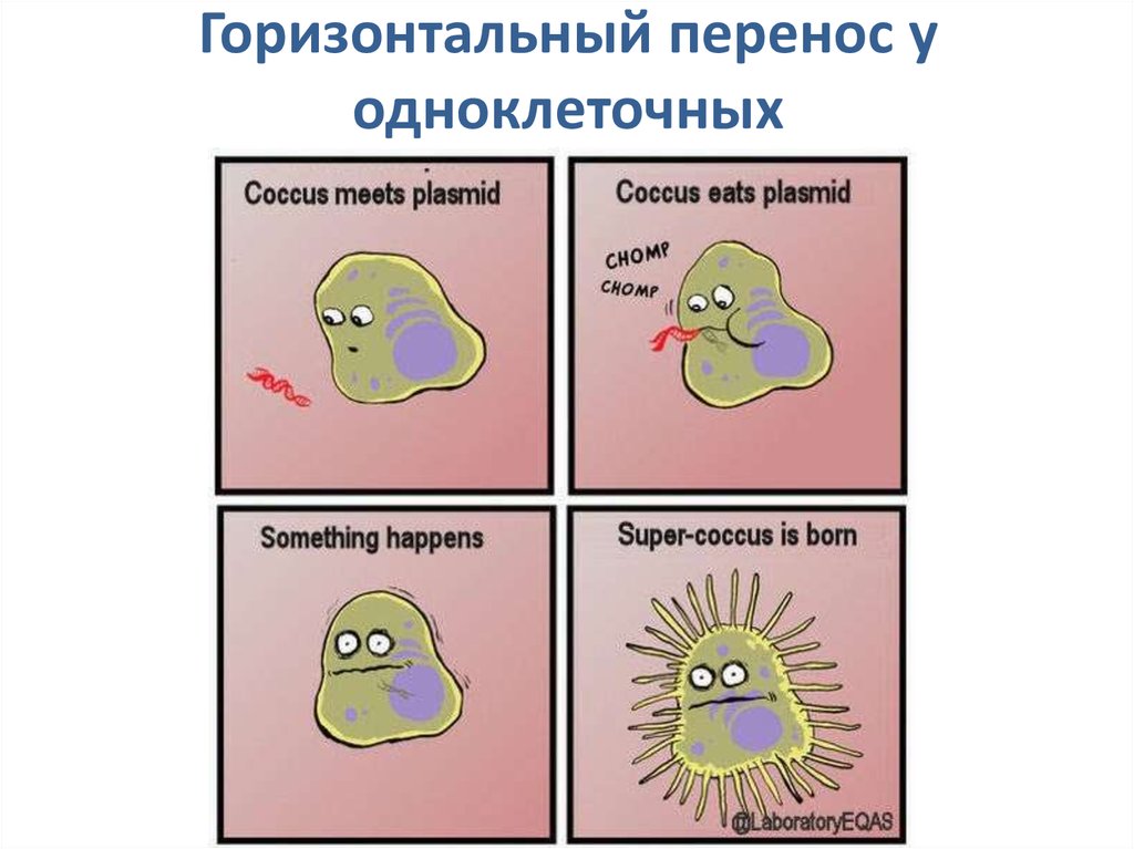 Горизонтальный перенос у одноклеточных