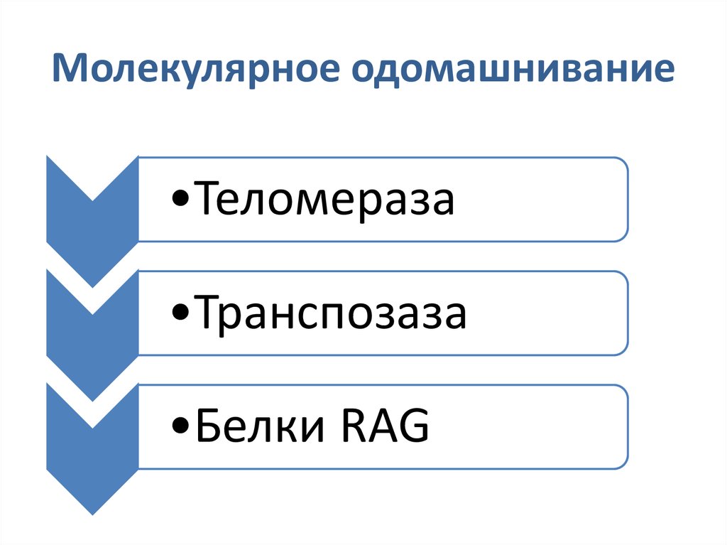 Молекулярное одомашнивание