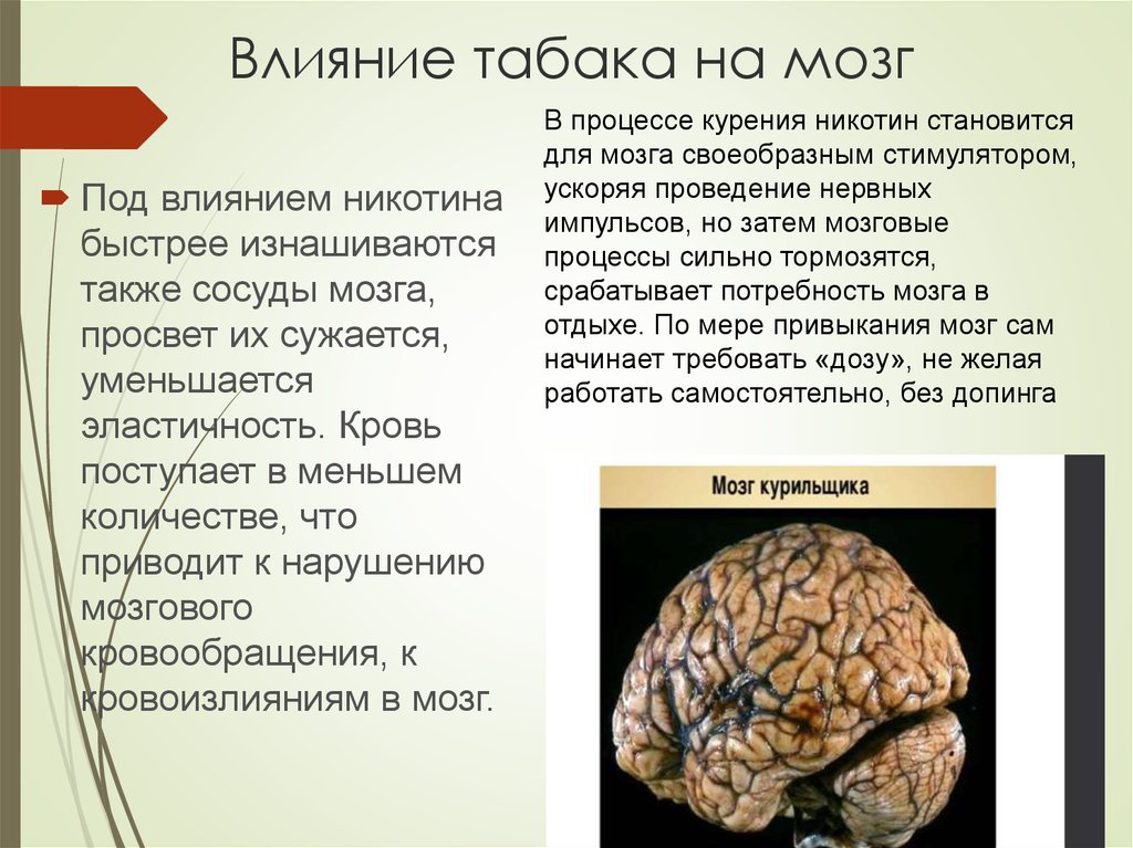 Влияние табакокурения на организм человека презентация