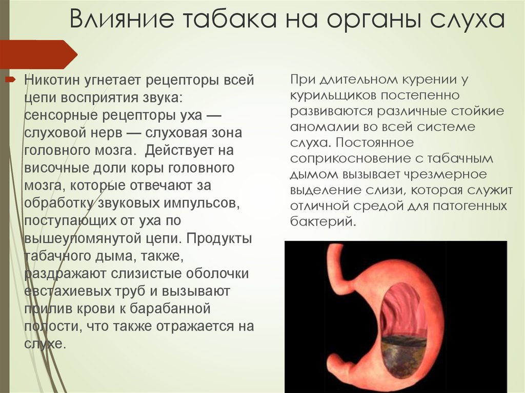 Влияние на органы. Влияние алкоголя на слуховой анализатор. Воздействие никотина на слух. Воздействие на органы слуха. Влияние табака на органы слуха.