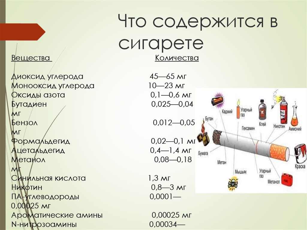 Что содержится в проекте