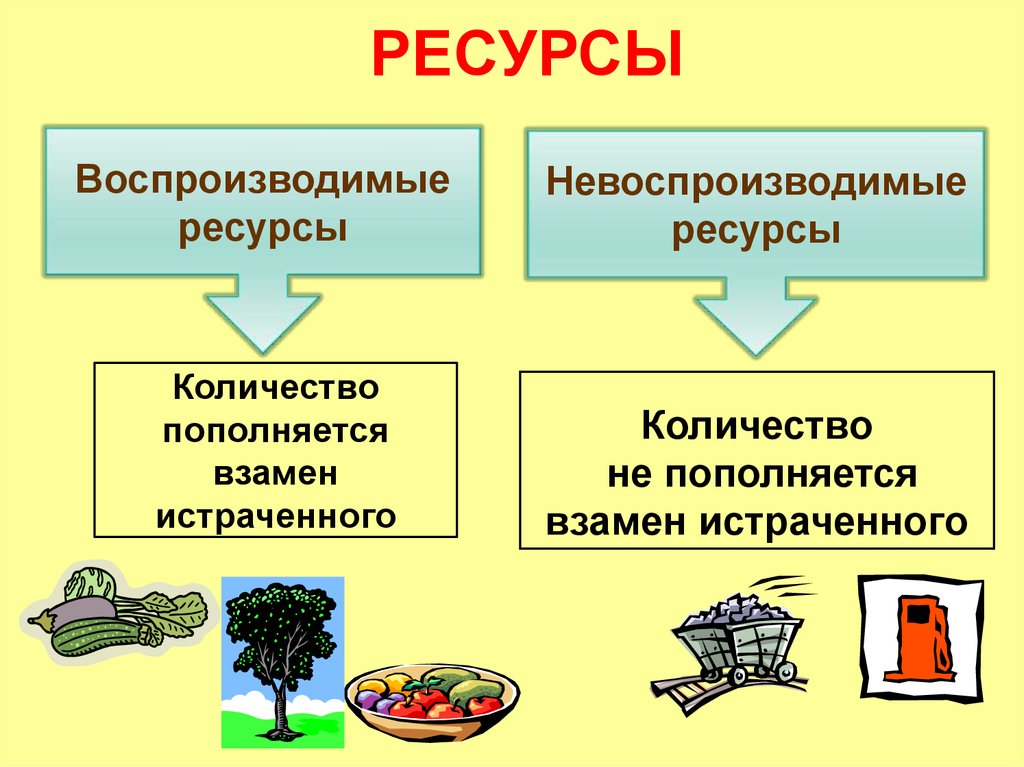 Невоспроизводимые ресурсы проекта это