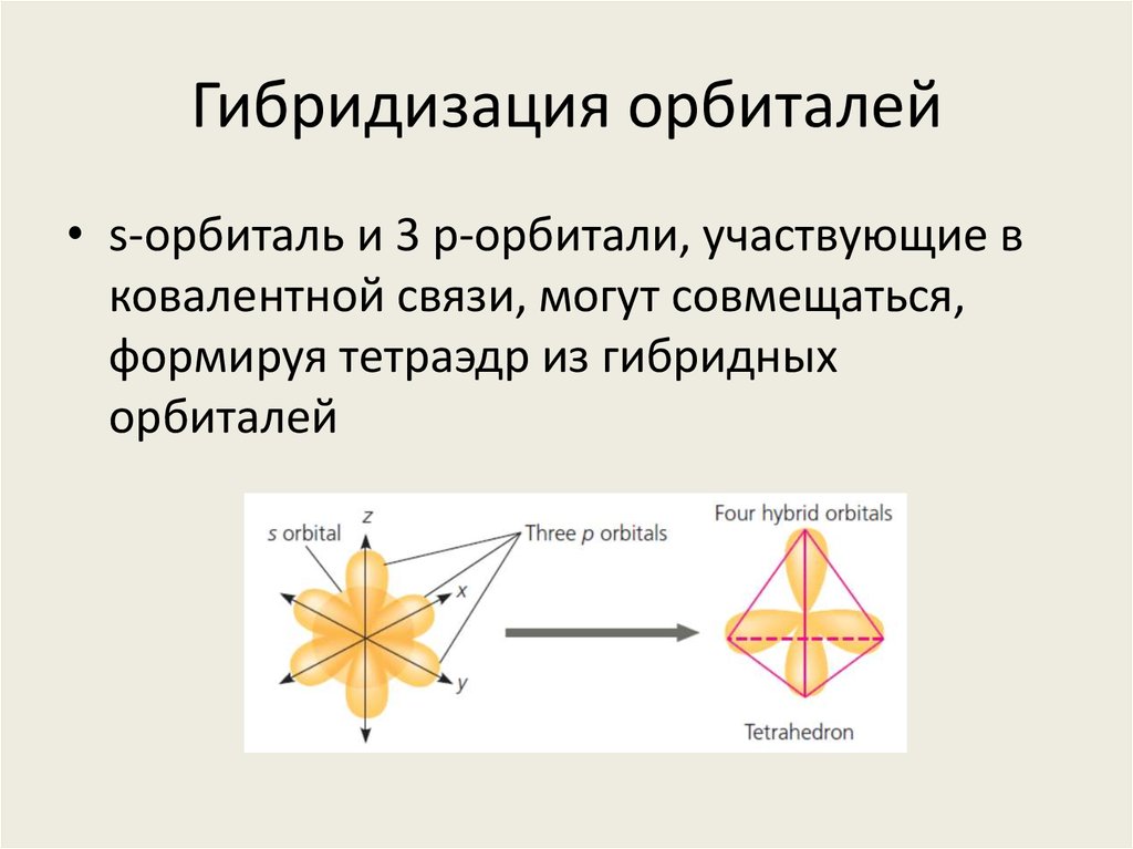 Гибридизация орбиталей