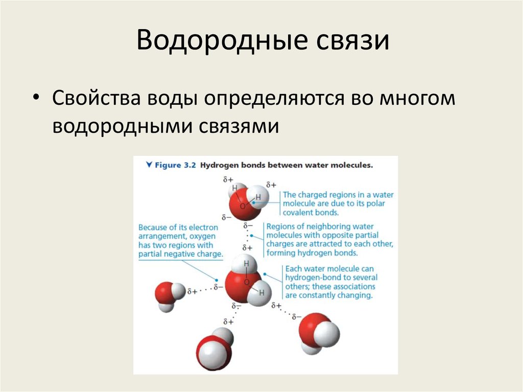 Водородные связи