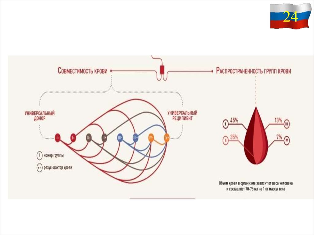 Назовите донора для шарика. Распространенность групп крови. Распространенность групп крови в России. Распространенность групп крови в мире. 1 Группа крови распространенность.