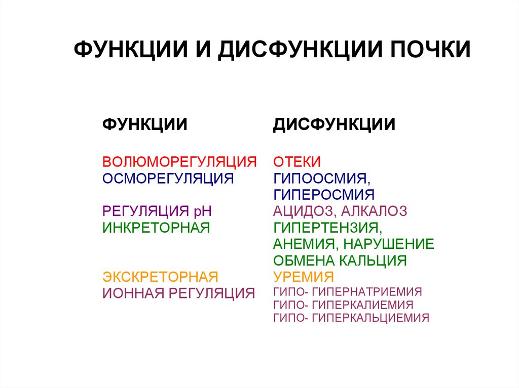 Нарушение функции почек. Функции и дисфункции. Почечная дисфункция. Признаки нарушения функции почек. Виды нарушения функций почек.