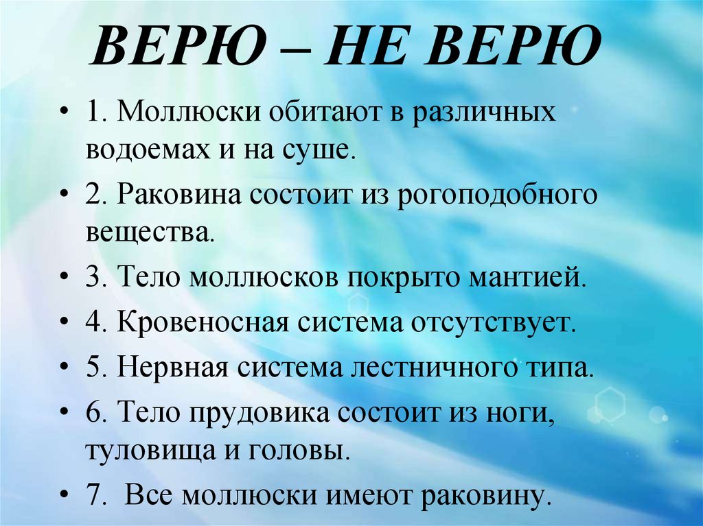 Биология 7 тест моллюски. Вывод по теме моллюски. Верю не верю биология 7 класс моллюски. Тест по теме моллюски. Верю не верю моллюски.