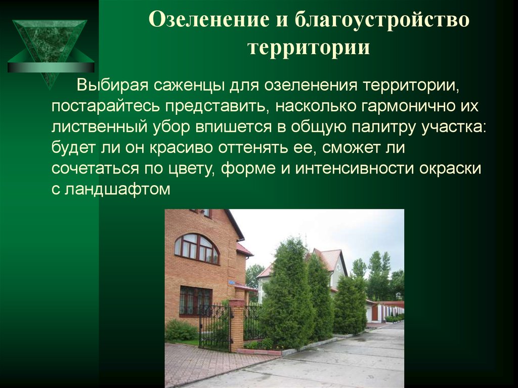 Презентация по озеленению