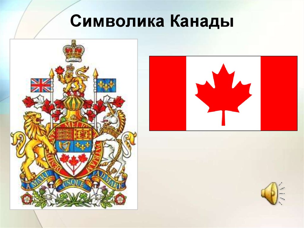 Канадский герб. Символы Канады. Герб Канады. Национальные символы Канады. Канада флаг и герб.
