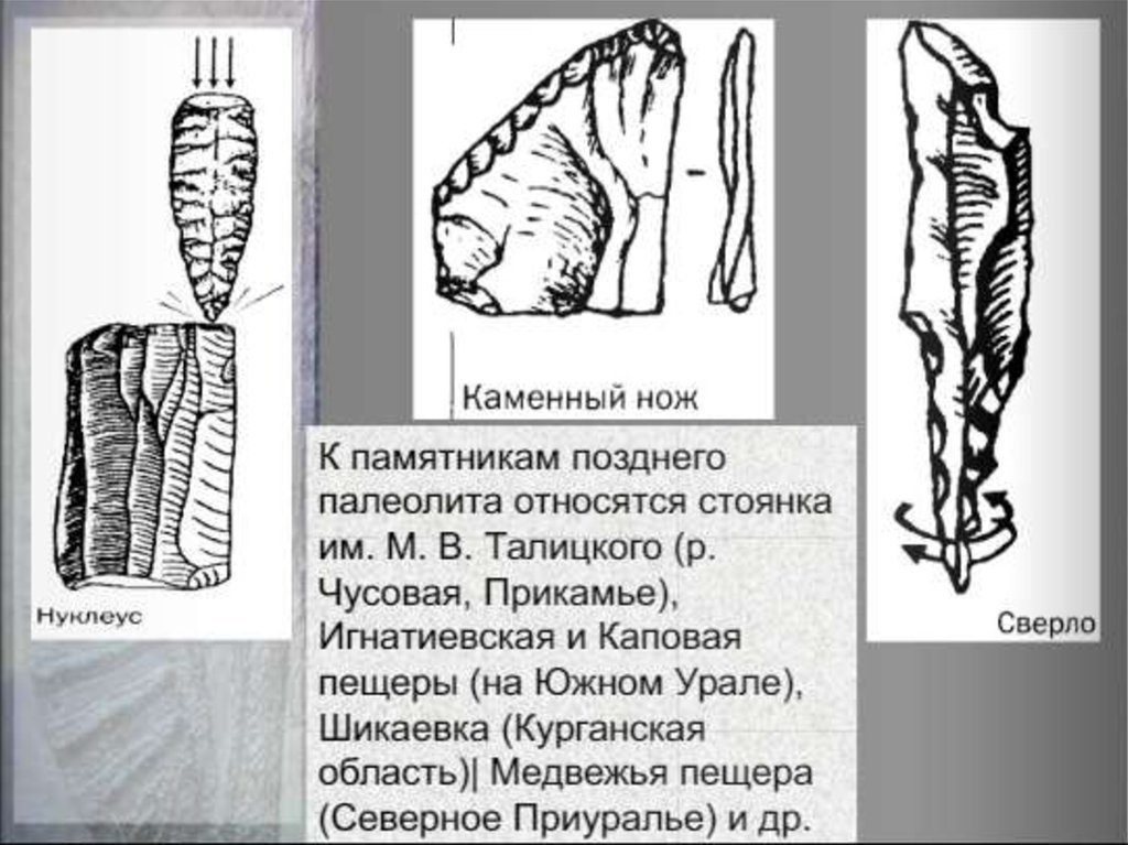 Каменный век прикамья 5 класс презентация