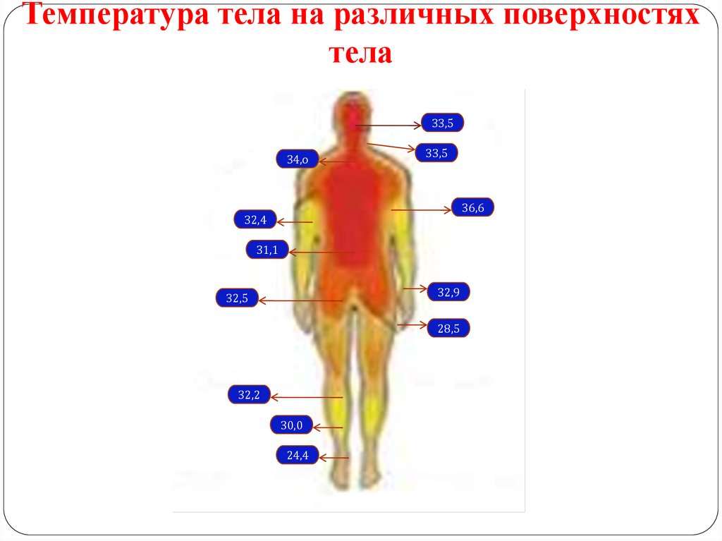 Температура вашего тела. Температура в разных частях тела человека. Распределение температуры тела человека. Температурные зоны тела. Температура различных участков тела.