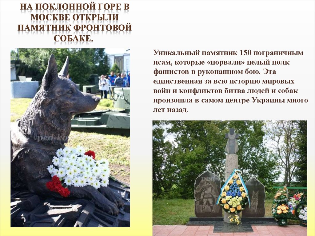 На Поклонной горе в Москве открыли памятник фронтовой собаке. 