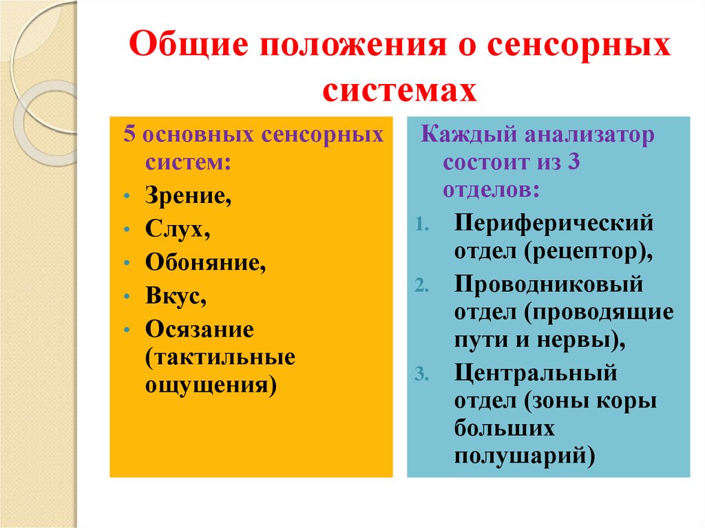 Общие положения о сенсорных системах