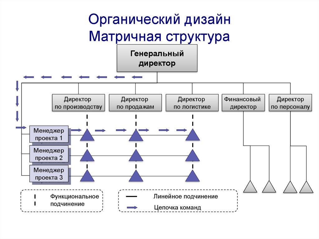 Со структурой. Матричная структура Apple. Матричная структура компании Apple. Функциональное подчинение это. Административное и функциональное подчинение это.