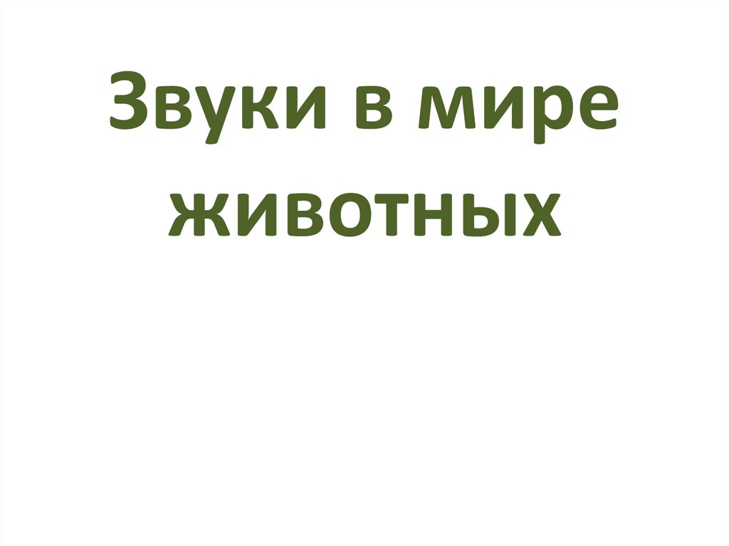 Звуки в мире животных