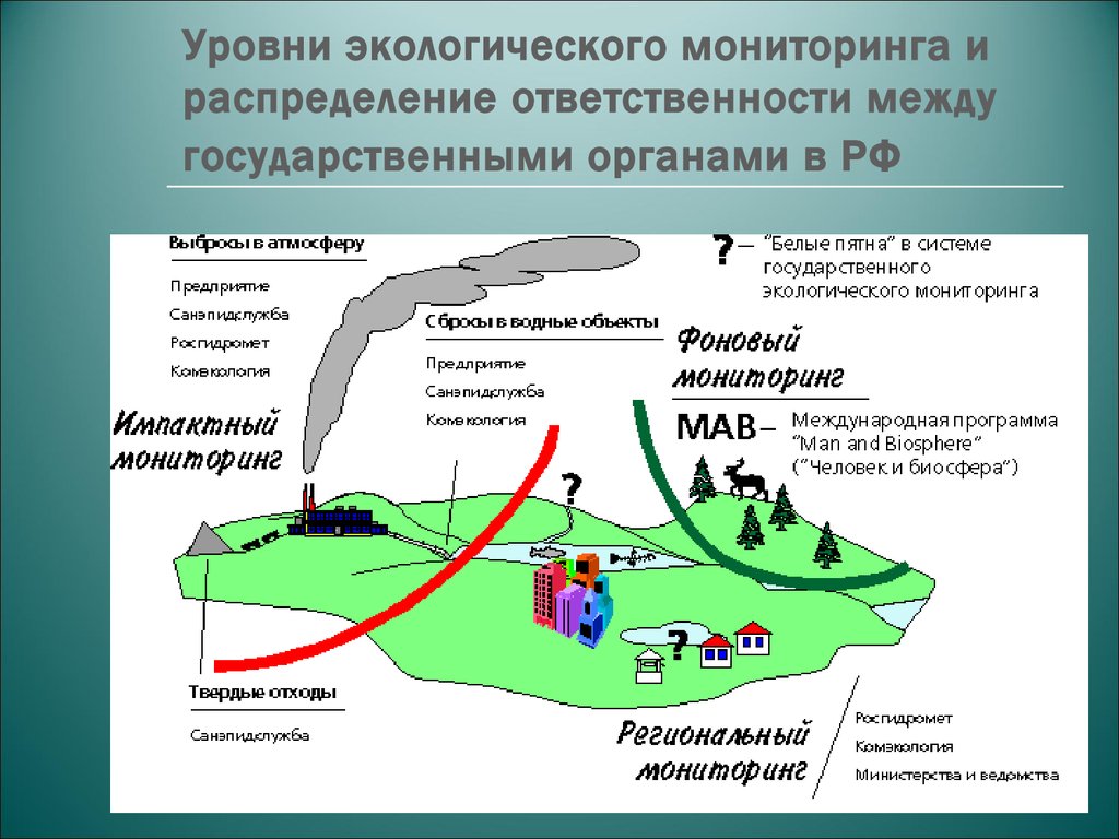 Уровни экологического мониторинга и распределение ответственности между государственными органами в РФ