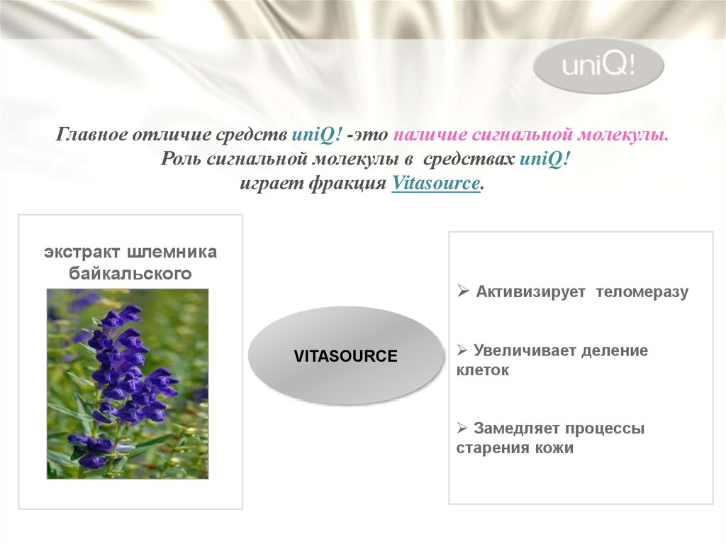Средство отличается. Шлемник Байкальский презентация. В наличии. Средство и различия картинки для презентации.