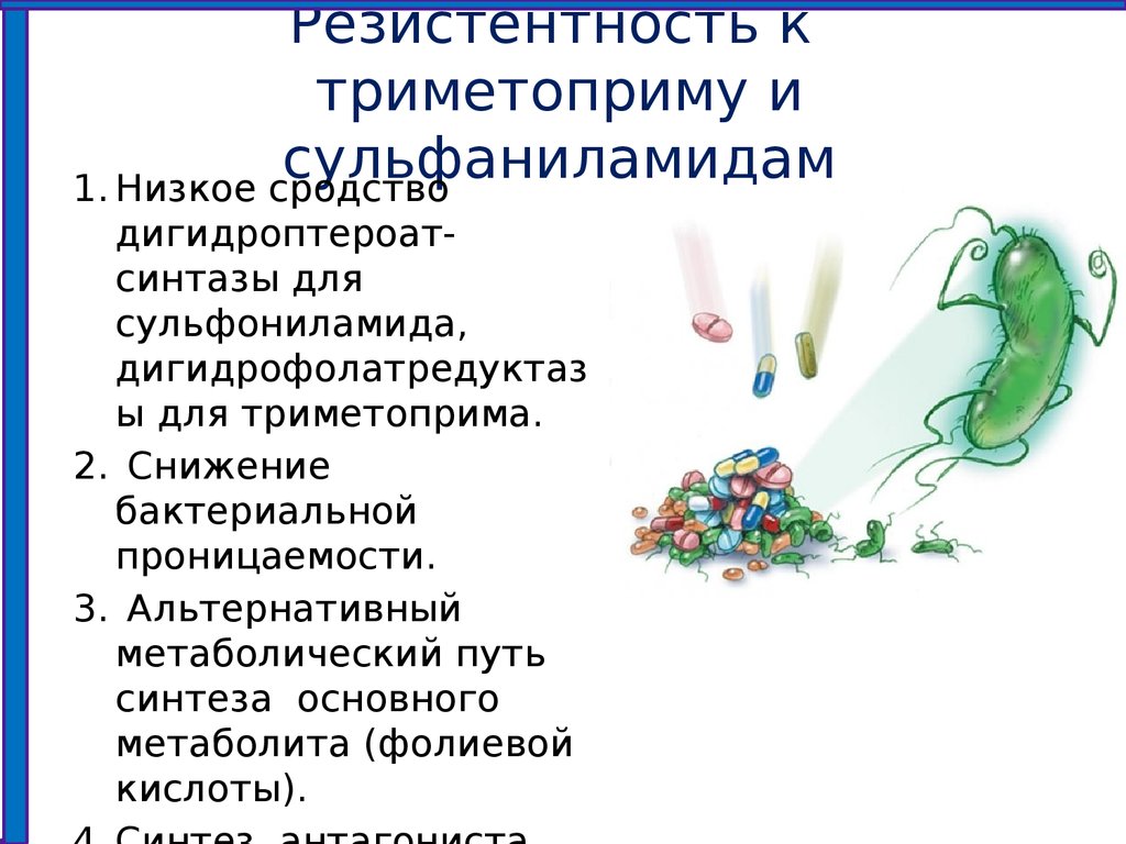 Резистентность к триметоприму и сульфаниламидам